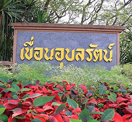 golf thailand tour